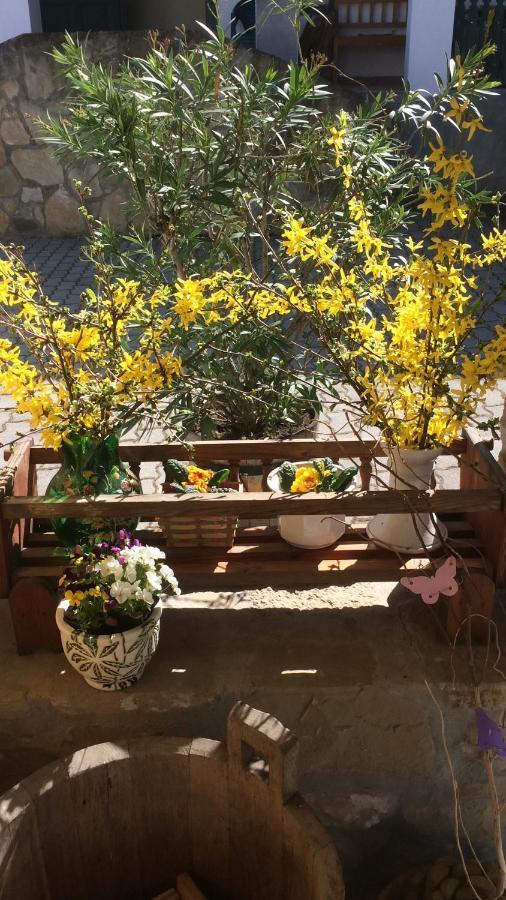 Falubiro Vendeghaza Bekolce Dış mekan fotoğraf