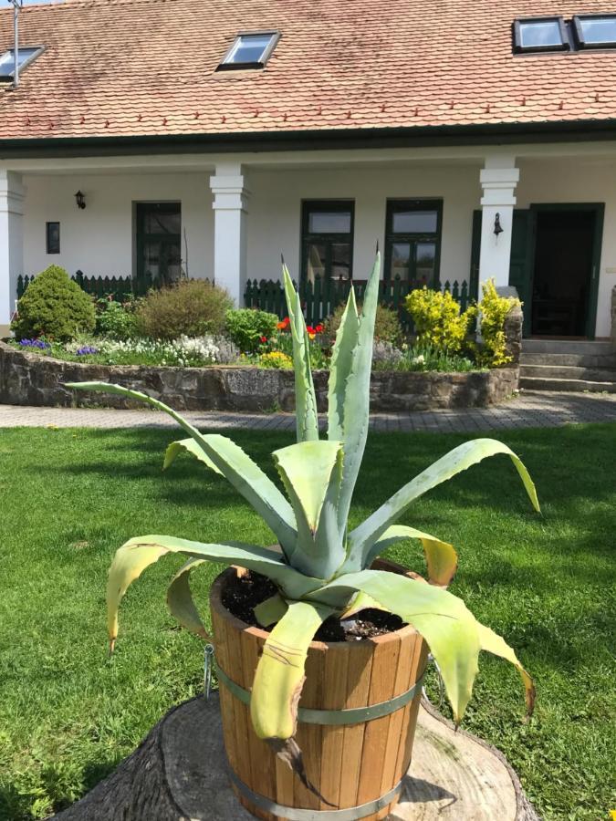 Falubiro Vendeghaza Bekolce Dış mekan fotoğraf